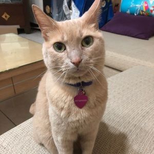 Meet your Posher, Sharon